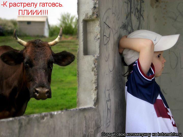 -К растрелу гатовсь. ПЛИИИ!!!... Котоматрица: -К растрелу гатовсь. ПЛИИИ!!!