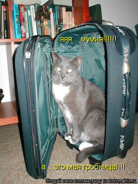 яяя....мумия!!!!!! а ...это мая гробница!!!!... Котоматрица: яяя....мумия!!!!!! а ...это мая гробница!!!!