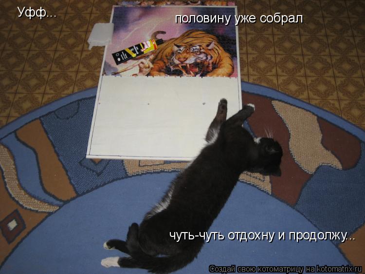 Уфф... половину уже собрал чуть-чуть отдохну и продолжу...... Котоматрица: Уфф... половину уже собрал чуть-чуть отдохну и продолжу...