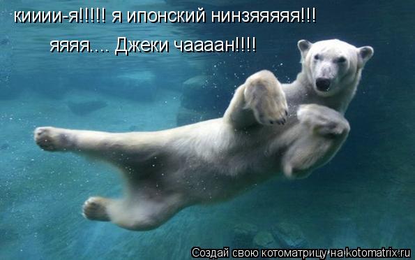 кииии-я!!!!! я ипонский нинзяяяяя!!! яяяя.... Джеки чаааан!!!!... Котоматрица: кииии-я!!!!! я ипонский нинзяяяяя!!! яяяя.... Джеки чаааан!!!!