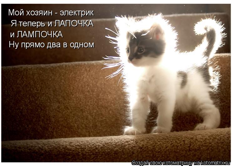 Мой хозяин - электрик Я теперь и ЛАПОЧКА и ЛАМПОЧКА Ну прямо два в одном... Котоматрица: Мой хозяин - электрик Я теперь и ЛАПОЧКА и ЛАМПОЧКА Ну прямо два в одном