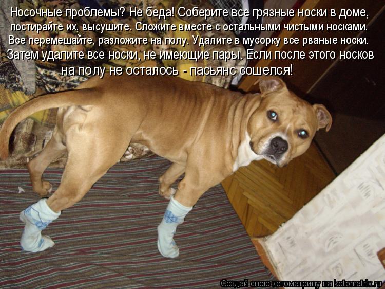 Котоматрица: Hосочные проблемы? Не беда! Соберите все грязные носки в доме,  постирайте их, высушите. Сложите вместе с остальными чистыми носками.  Все пер