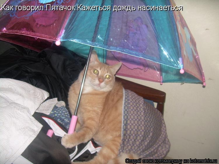 Как говорил Пятачок:Кажеться дождь насинаеться... Котоматрица: Как говорил Пятачок:Кажеться дождь насинаеться