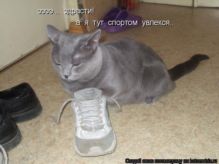ээээ... здрасти! а я тут спортом увлекся..... Котоматрица: ээээ... здрасти! а я тут спортом увлекся..