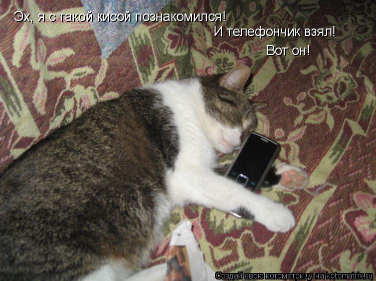 Котоматрица: Эх, я с такой кисой познакомился! И телефончик взял! Вот он!