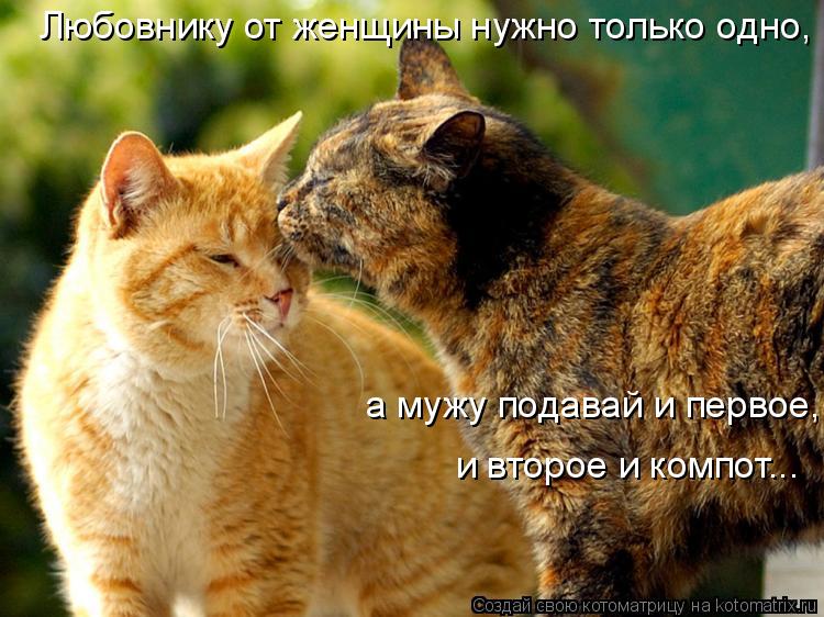 Котоматрица: Любовнику от женщины нужно только одно,  а мужу подавай и первое,  и второе и компот...