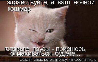 здравствуйте, я ваш ночной кошмар готовьте трусы - приснюсь, отмахиваться будете...... Котоматрица: здравствуйте, я ваш ночной кошмар готовьте трусы - приснюсь, отмахиваться будете...