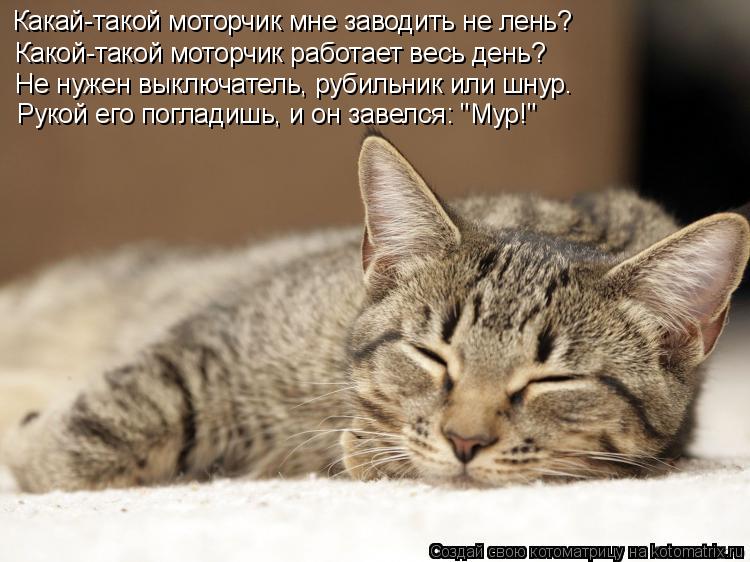 Какай-такой моторчик мне заводить не лень? Какой-такой моторчик работает весь день? Не нужен выключат... Котоматрица: Какай-такой моторчик мне заводить не лень? Какой-такой моторчик работает весь день? Не нужен выключатель, рубильник или шнур. Рукой его погл