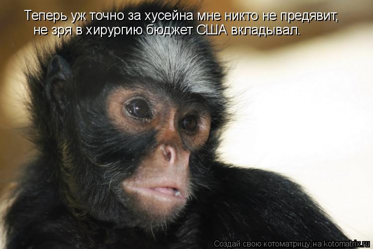 Котоматрица: Теперь уж точно за хусейна мне никто не предявит, не зря в хирургию бюджет США вкладывал.