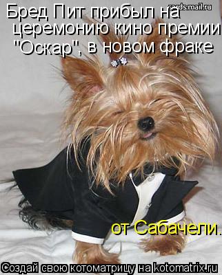 Бред Пит прибыл на церемонию кино премии "Оскар" , в новом фраке от Сабачели.... Котоматрица: Бред Пит прибыл на церемонию кино премии "Оскар" , в новом фраке от Сабачели.