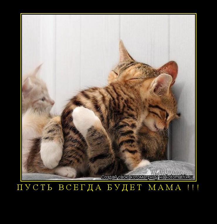 Пусть всегда будет МАМА !!! ... Котоматрица: Пусть всегда будет МАМА !!!