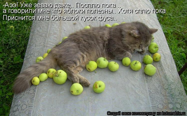 -Аээ! Уже зеваю даже.. Посплю пока .. а говорили мне что яблоки полезны.. Хотя сплю пока Приснится м... Котоматрица: -Аээ! Уже зеваю даже.. Посплю пока .. а говорили мне что яблоки полезны.. Хотя сплю пока Приснится мне большой кусок фуса..