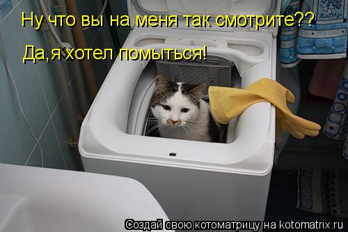 Котоматрица: Ну что вы на меня так смотрите?? Да,я хотел помыться! Ну что вы на меня так смотрите??