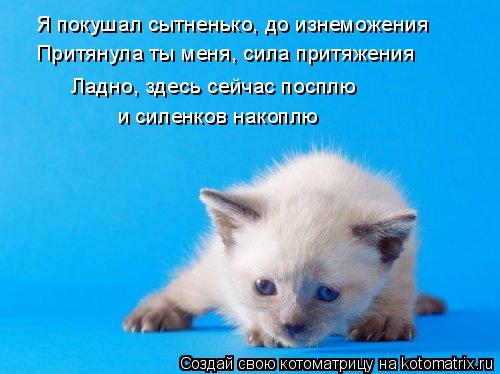 Котоматрица: Притянула ты меня, сила притяжения Я покушал сытненько, до изнеможения Ладно, здесь сейчас посплю и силенков накоплю