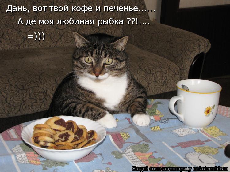 Котоматрица: Дань, вот твой кофе и печенье...... А де моя любимая рыбка ??!.... =)))