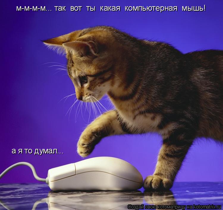 Котоматрица: м-м-м-м... так  вот  ты  какая  компьютерная  мышь! а я то думал...