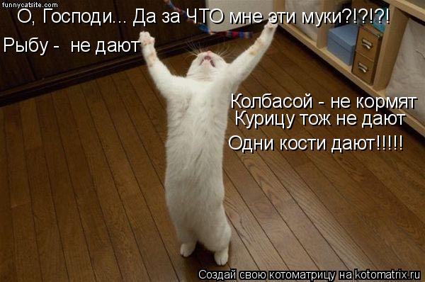 О, Господи... Да за ЧТО мне эти муки?!?!?! Рыбу - не дают Колбасой - не кормят Одни кости дают!!!!! ... Котоматрица: О, Господи... Да за ЧТО мне эти муки?!?!?! Рыбу - не дают Колбасой - не кормят Одни кости дают!!!!! Курицу тож не дают
