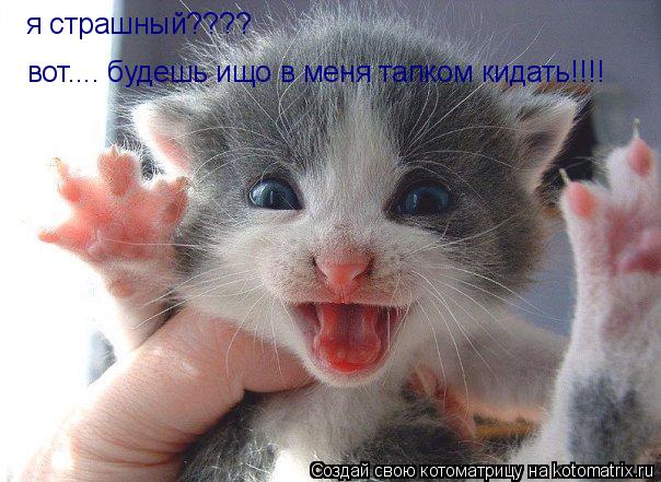 я страшный???? вот.... будешь ищо в меня тапком кидать!!!!... Котоматрица: я страшный???? вот.... будешь ищо в меня тапком кидать!!!!