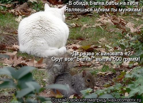 -В обиде,Белка,бабы на тебя: Являешься чужим ты мужикам! -Да разве ж виновата я? Орут все:"Белка!",вы... Котоматрица: -В обиде,Белка,бабы на тебя: Являешься чужим ты мужикам! -Да разве ж виновата я? Орут все:"Белка!",выпив 500 грамм!