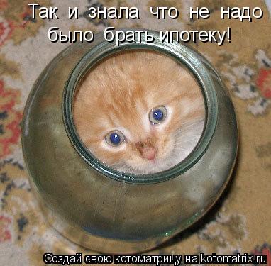 Так и знала что не надо было брать ипотеку!... Котоматрица: Так и знала что не надо было брать ипотеку!