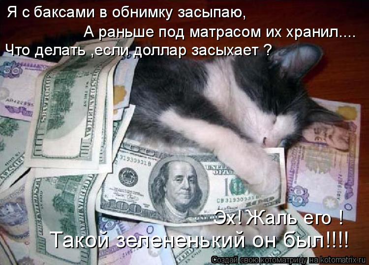Что делать ,если доллар засыхает ? Такой зелененький он был!!!! Я с баксами в обнимку засыпаю, А ран... Котоматрица: Что делать ,если доллар засыхает ? Такой зелененький он был!!!! Я с баксами в обнимку засыпаю, А раньше под матрасом их хранил.... Эх! Жаль его !