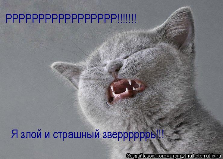 Я злой и страшный зверрррррь!!! РРРРРРРРРРРРРРРРР!!!!!!!... Котоматрица: Я злой и страшный зверрррррь!!! РРРРРРРРРРРРРРРРР!!!!!!!