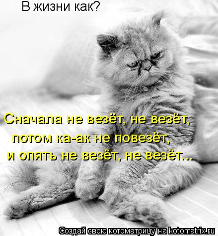В жизни как? Сначала не везёт, не везёт, потом ка-ак не повезёт, и опять не везёт, не везёт...... Котоматрица: В жизни как? Сначала не везёт, не везёт, потом ка-ак не повезёт, и опять не везёт, не везёт...