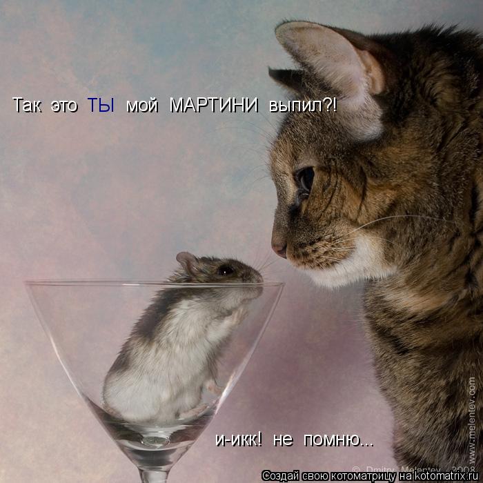 Так это ТЫ мой МАРТИНИ выпил?! и-икк! не помню...... Котоматрица: Так это ТЫ мой МАРТИНИ выпил?! и-икк! не помню...