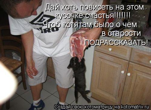 Дай хоть повисеть на этом кусочке счастья!!!!!!! Чтоб котятам было о чем в старости ПОДРАССКАЗАТЬ!... Котоматрица: Дай хоть повисеть на этом кусочке счастья!!!!!!! Чтоб котятам было о чем в старости ПОДРАССКАЗАТЬ!
