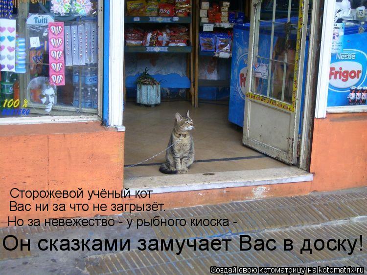 Сторожевой учёный кот Вас ни за что не загрызёт. Но за невежество - у рыбного киоска - Он сказками з... Котоматрица: Сторожевой учёный кот Вас ни за что не загрызёт. Но за невежество - у рыбного киоска - Он сказками замучает Вас в доску!