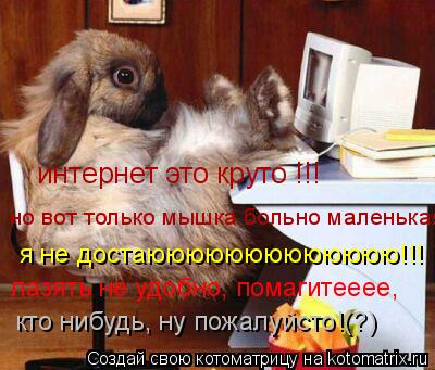 интернет это круто !!! но вот только мышка больно маленькая я не достаююююююююююююю!!! лазять не удо... Котоматрица: интернет это круто !!! но вот только мышка больно маленькая я не достаююююююююююююю!!! лазять не удобно, помагитееее, кто нибудь, ну пожалуйс