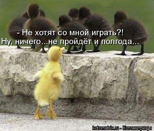 Котоматрица: - Не хотят со мной играть?! Ну, ничего...не пройдёт и полгода...