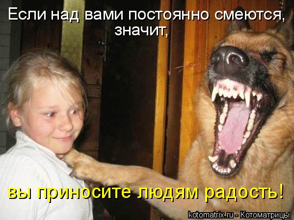 Если над вами постоянно смеются, значит, вы приносите людям радость!... Котоматрица: Если над вами постоянно смеются, значит, вы приносите людям радость!