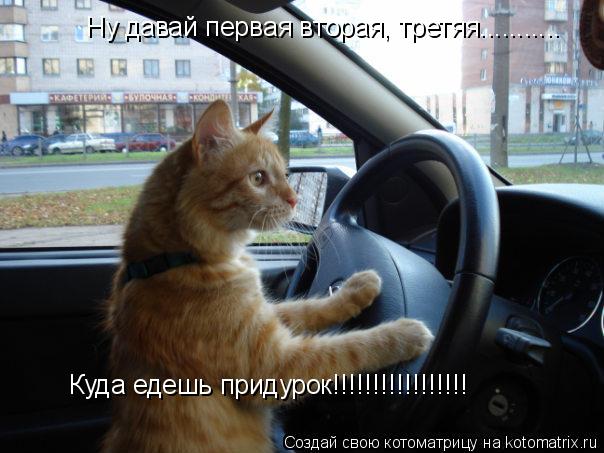 Ну давай первая вторая, третяя........... Куда едешь придурок!!!!!!!!!!!!!!!!!... Котоматрица: Ну давай первая вторая, третяя........... Куда едешь придурок!!!!!!!!!!!!!!!!!