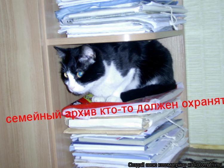 семейный архив кто-то должен охранять!... Котоматрица: семейный архив кто-то должен охранять!