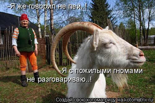 Котоматрица: -Я же говорил не пей..! -Я с пожилыми гномами  не разговариваю..!