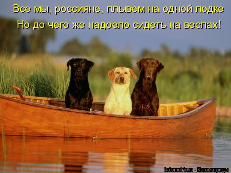 Все мы, россияне, плывем на одной лодке Но до чего же надоело сидеть на веслах!... Котоматрица: Все мы, россияне, плывем на одной лодке Но до чего же надоело сидеть на веслах!