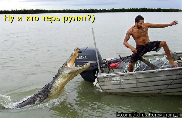 Ну и кто терь рулит?)... Котоматрица: Ну и кто терь рулит?)