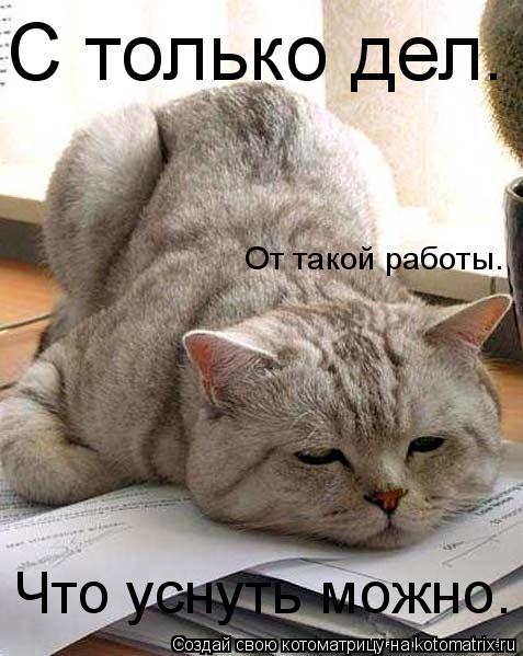 С только дел. Что уснуть можно. От такой работы.... Котоматрица: С только дел. Что уснуть можно. От такой работы.