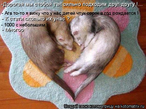 Котоматрица: -Дорогая мы стобой так сильно подходим друг-другу !... - Ага то-то я вижу что у нас детей чтук сорок в год рождается !  - К стати сколько их унас ?  