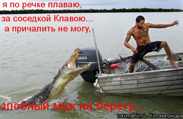 я по речке плаваю, за соседкой Клавою... а причалить не могу, злобный муж на берегу...... Котоматрица: я по речке плаваю, за соседкой Клавою... а причалить не могу, злобный муж на берегу...