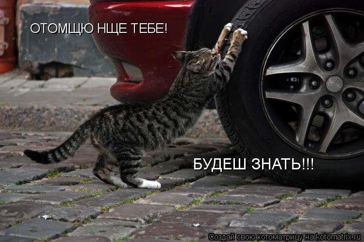 ОТОМЩЮ НЩЕ ТЕБЕ! БУДЕШ ЗНАТЬ!!!... Котоматрица: ОТОМЩЮ НЩЕ ТЕБЕ! БУДЕШ ЗНАТЬ!!!