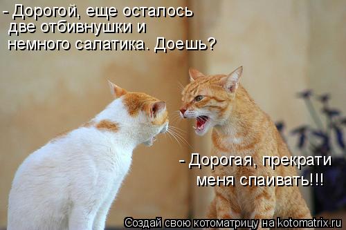 - Дорогая, прекрати меня спаивать!!! - Дорогой, еще осталось две отбивнушки и немного салатика. До... Котоматрица: - Дорогая, прекрати меня спаивать!!! - Дорогой, еще осталось две отбивнушки и немного салатика. Доешь?