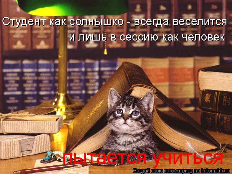 Студент как солнышко - всегда веселится и лишь в сессию как человек пытается учиться... Котоматрица: Студент как солнышко - всегда веселится и лишь в сессию как человек пытается учиться