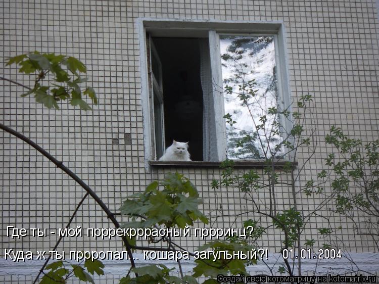 Котоматрица: Где ты - мой прррекрррасный пррринц? Куда ж ты пррропал... кошара загульный?!