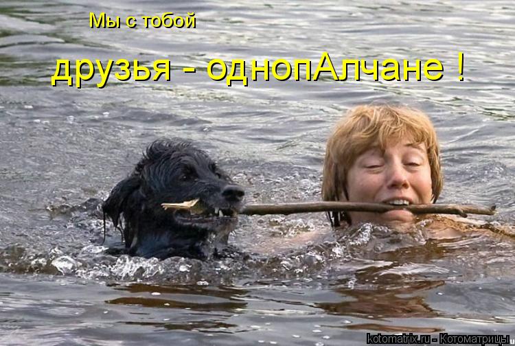 Мы с тобой друзья - однопАлчане !... Котоматрица: Мы с тобой друзья - однопАлчане !