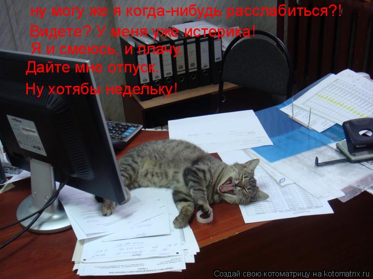 ну могу же я когда-нибудь расслабиться?! Видете? У меня уже истерика! Я и смеюсь, и плачу. Дайте мне ... Котоматрица: ну могу же я когда-нибудь расслабиться?! Видете? У меня уже истерика! Я и смеюсь, и плачу. Дайте мне отпуск. Ну хотябы недельку!