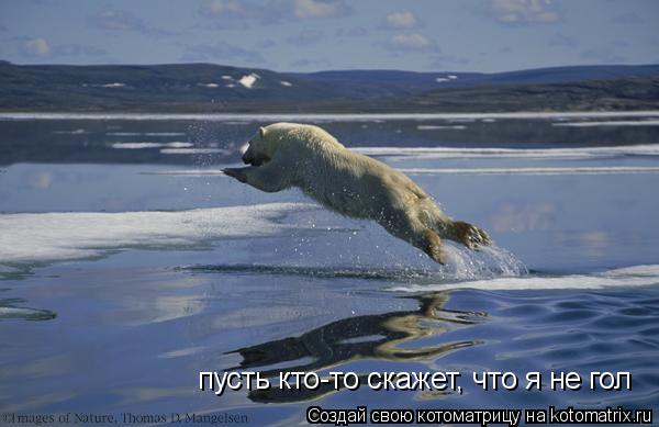пусть кто-то скажет, что я не гол... Котоматрица: пусть кто-то скажет, что я не гол
