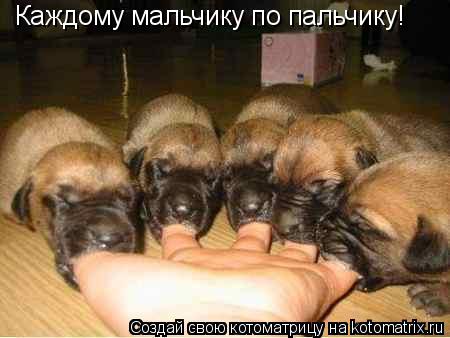 Каждому мальчику по пальчику!... Котоматрица: Каждому мальчику по пальчику!