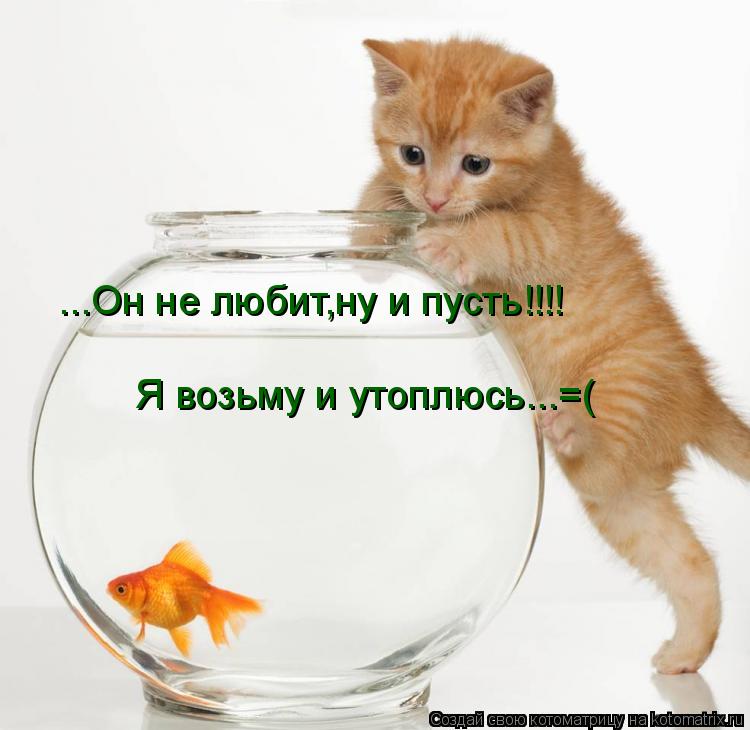 Котоматрица: ...Он не любит,ну и пусть!!!! Я возьму и утоплюсь...=(